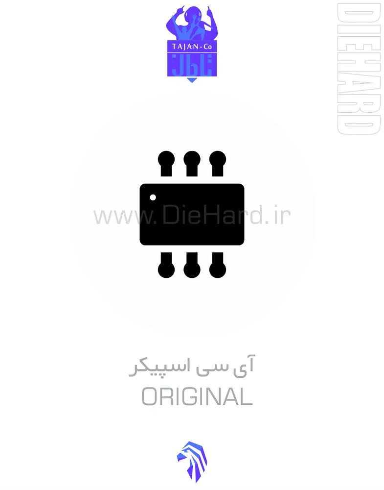 آی سی الکترونیک اسپیکر چینی CS8673E