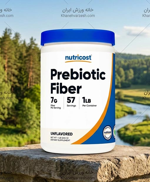 فیبر پری بیوتیک نوتری کاست اصل Nutricost Prebiotic Fiber