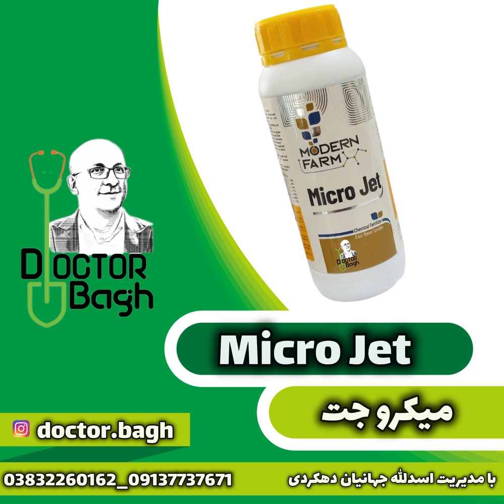 میکرو جت