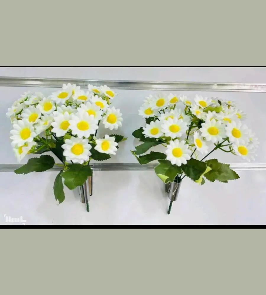 جزئیات محصول بوته گل بابونه سفید