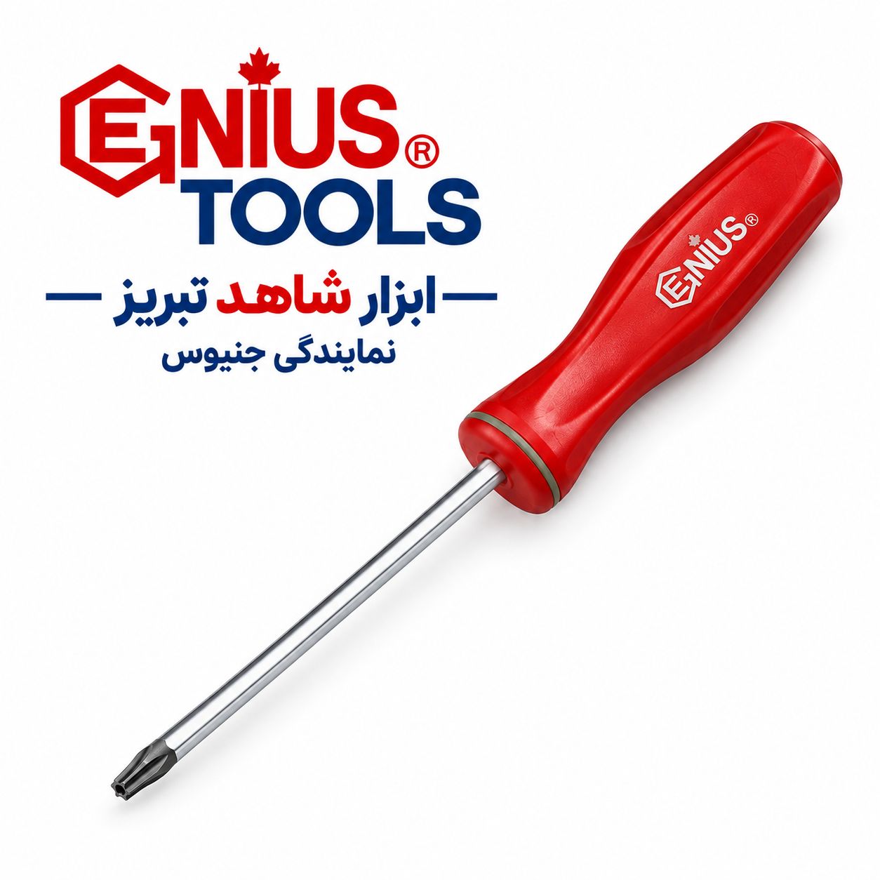 اچار پیچ گوشتی ستاره ای T8جنیوس کد 7608+592