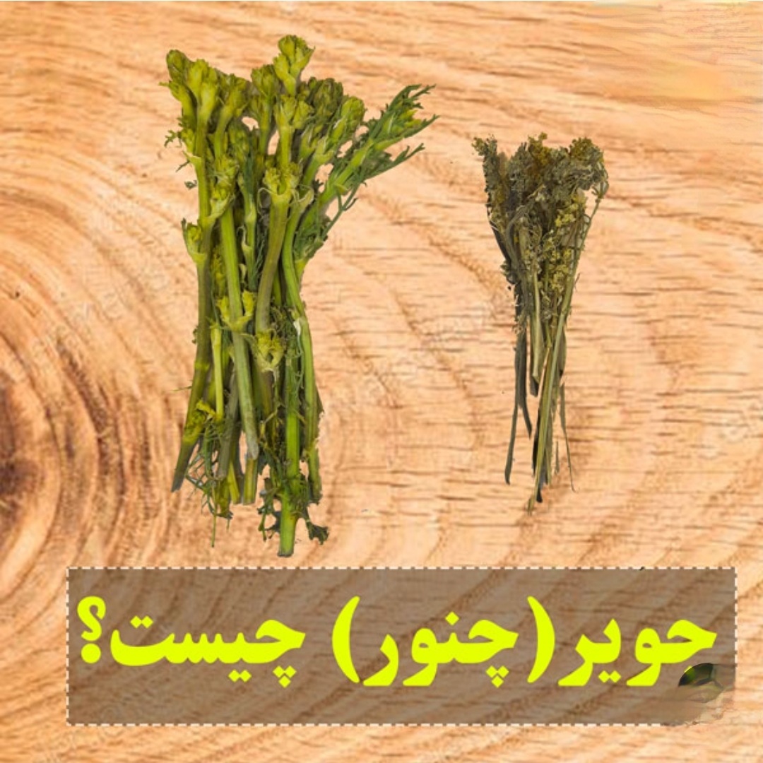 چویر – چنور – چنگویر (۷۵ گرمی)