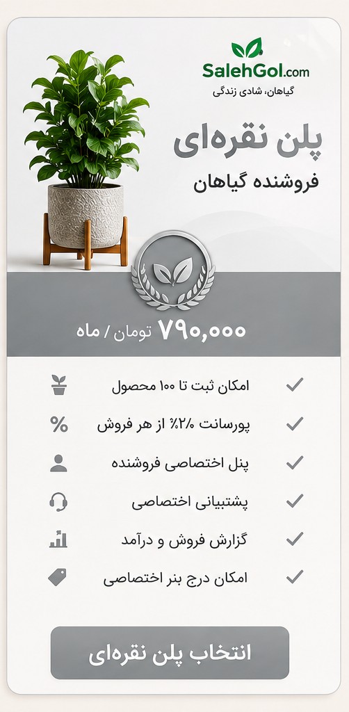 پلن نقره ای