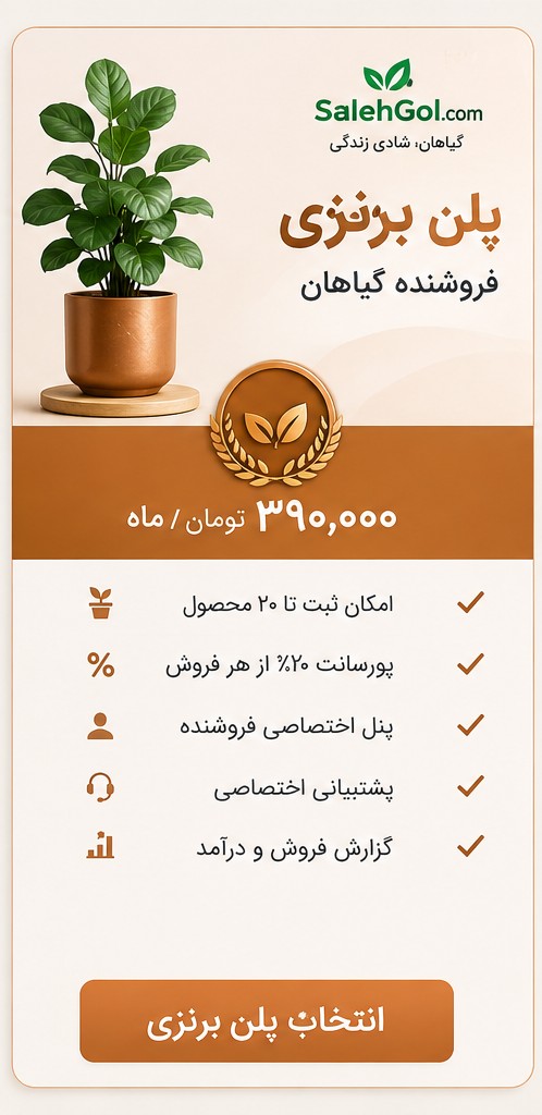 پلن برنزی