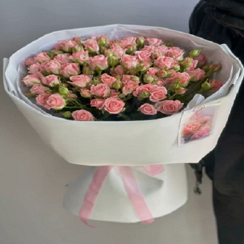 نیمه ماه