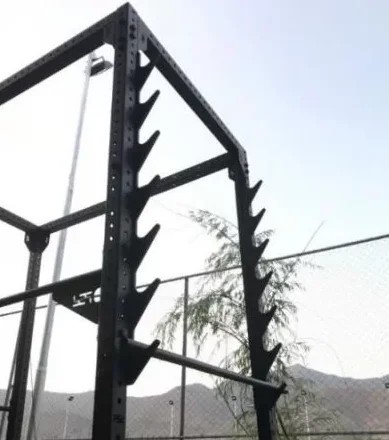 نردبان ماهی