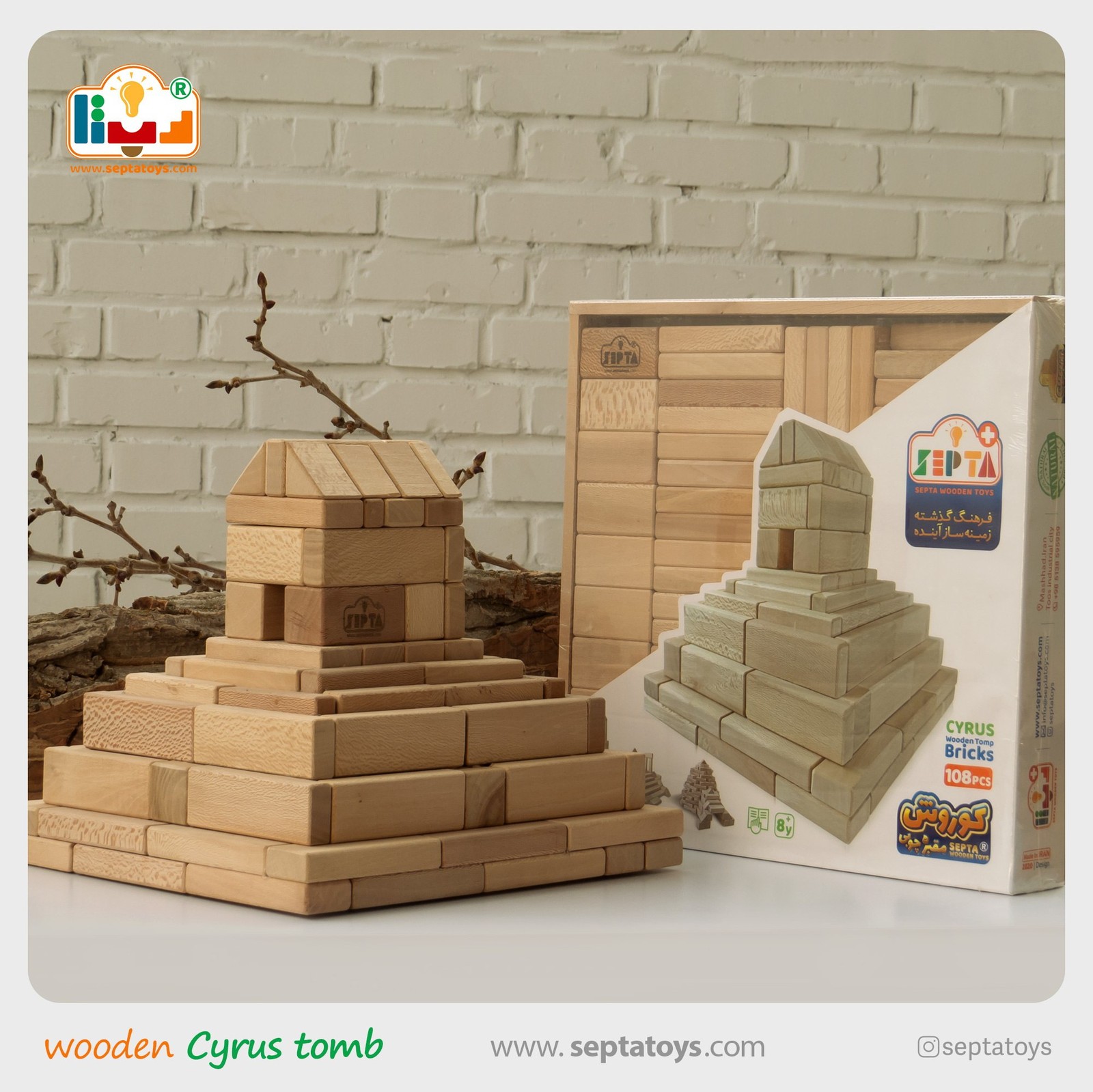 مقبره چوبی کوروش