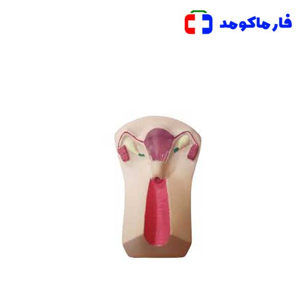 مولاژ ایودی گذاری