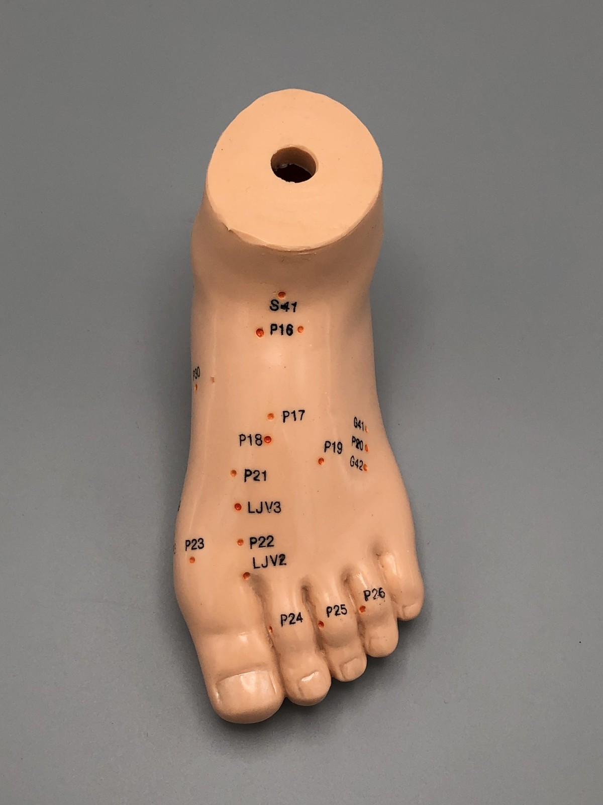 مولاژ طب سوزنی پا ، (مدل طب سوزنی پا با نقاط کامل)