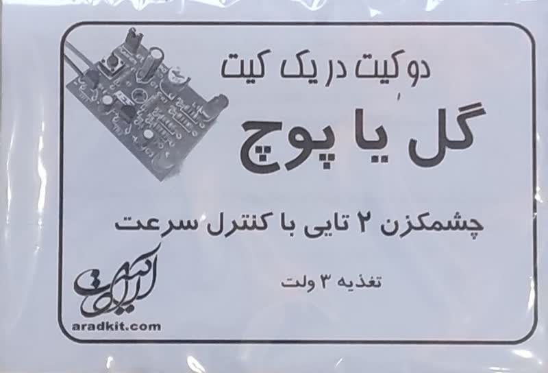 کیت آموزشی (گل یا پوچ )