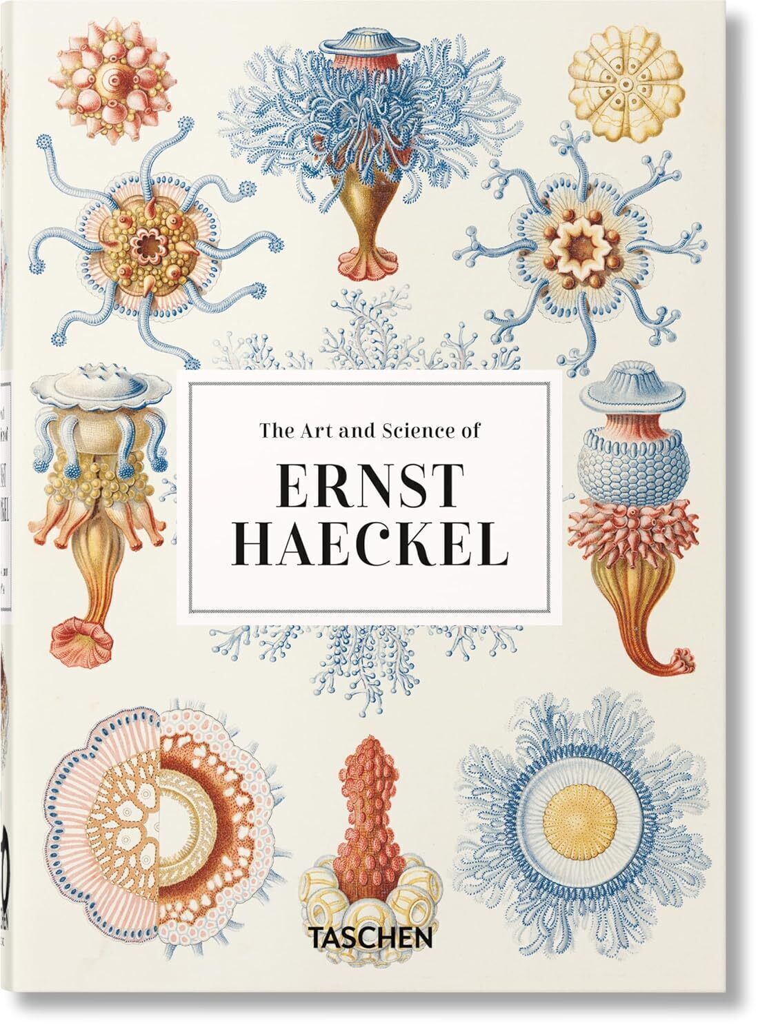 The Art and Science of Ernst Haeckel | آرت بوک ایران