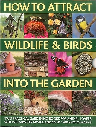 How to Attract Wildlife and Birds Into The Garden