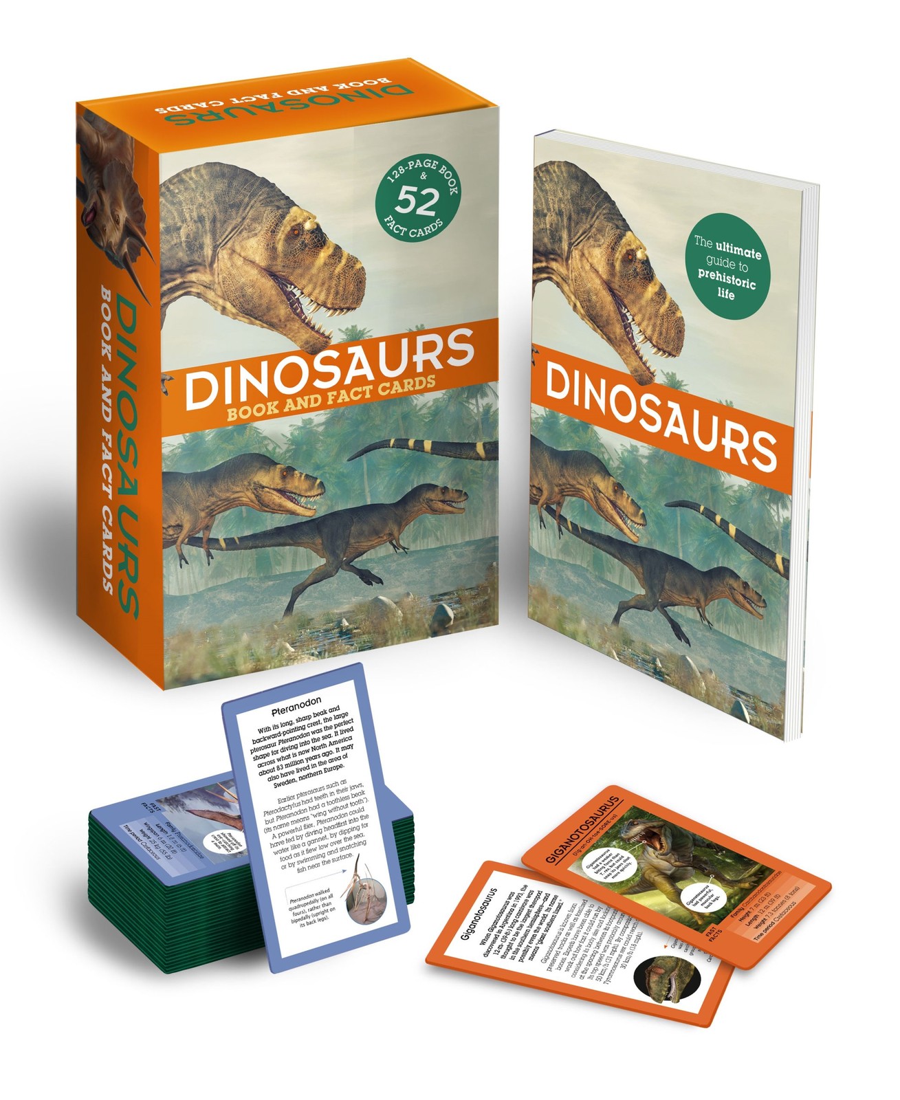 Dinosaurs Book and Fact Cards