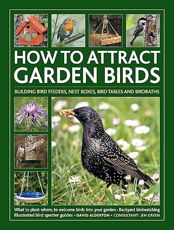 How to Attract Garden Birds