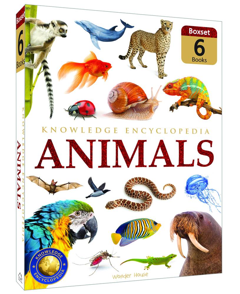 Animals Collection of 6 Books Knowledge Encyclopedia for Children Box Set