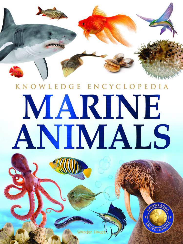 Animals Marine Animals Knowledge Encyclopedia for Children