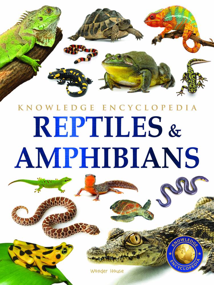 Animals Reptiles and Amphibians Knowledge Encyclopedia for Children