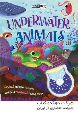 Hide-and-Seek Underwater Animals