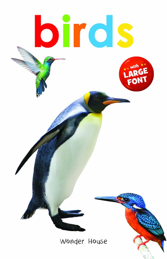 Birds – Early Learning Board Book With Large Font : Big Board Books Series