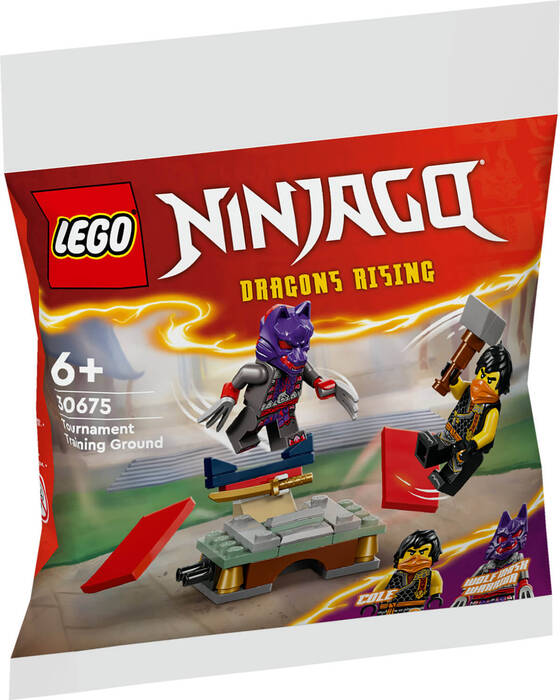 لگو NINJAGO Tournament Training Ground کد 30675