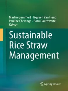 Sustainable Rice Straw Management