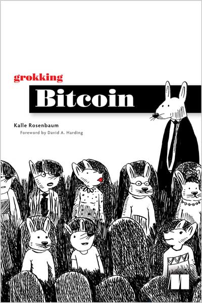 Grokking Bitcoin