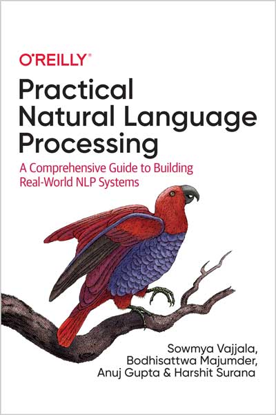 Practical Natural Language Processing