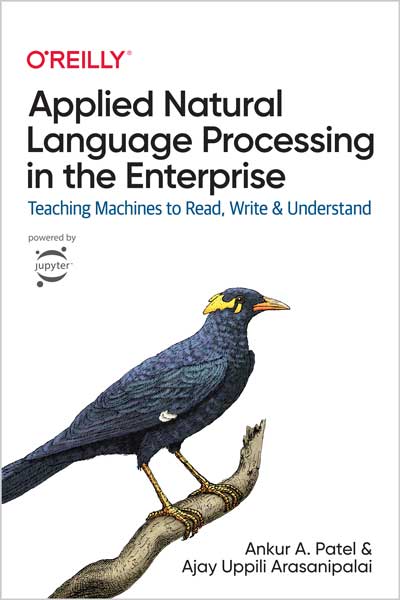 Applied Natural Language Processing in the Enterprise