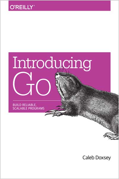 Introducing Go