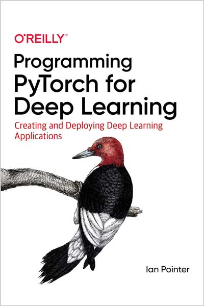 Programming PyTorch for Deep Learning