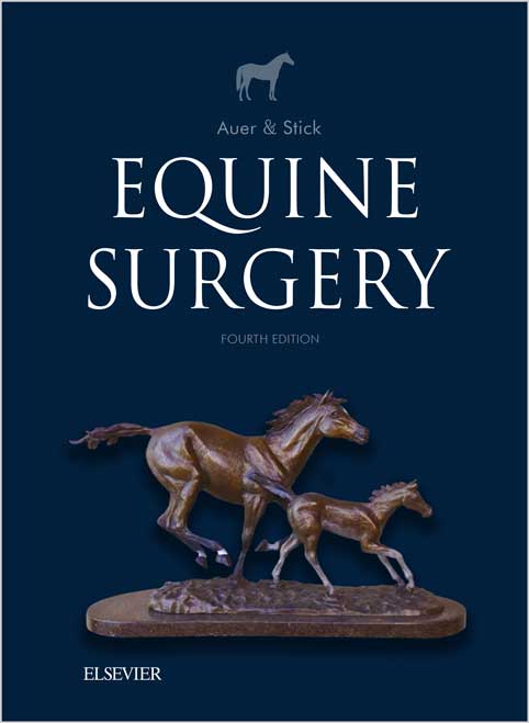 Equine Surgery