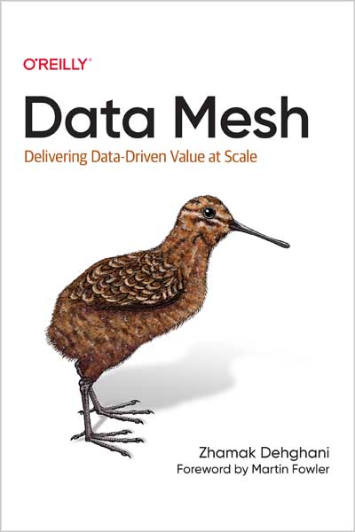 Data Mesh
