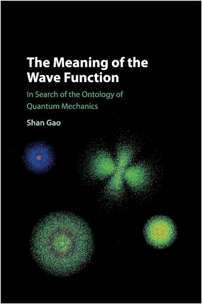The Meaning of the Wave Function
