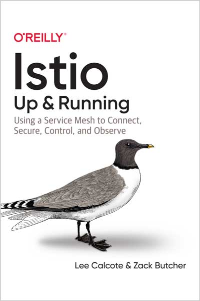 Istio: Up and Running