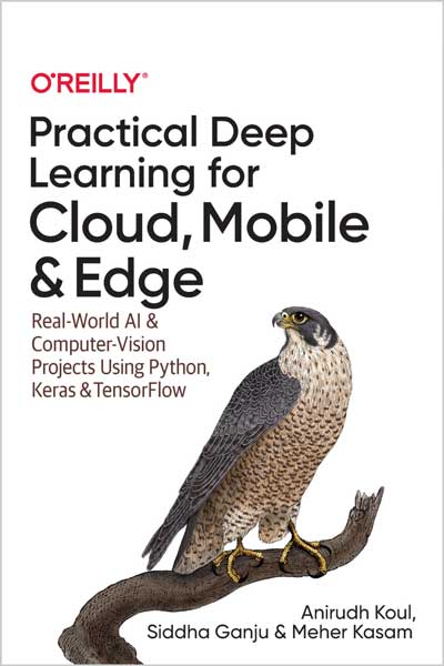 Practical Deep Learning for Cloud, Mobile, and Edge