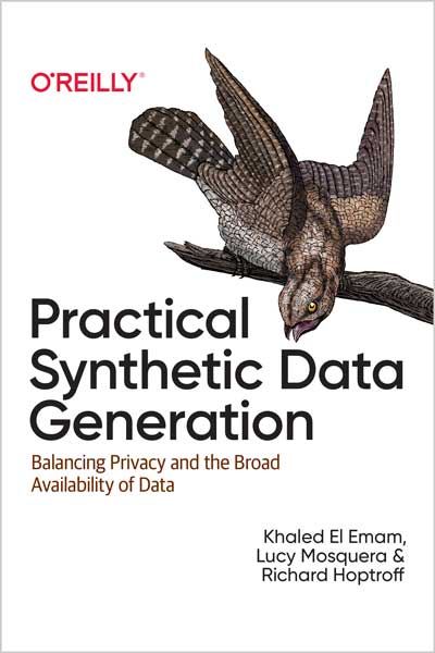 Practical Synthetic Data Generation
