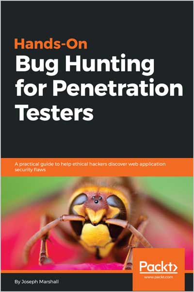 Hands-On Bug Hunting for Penetration Testers