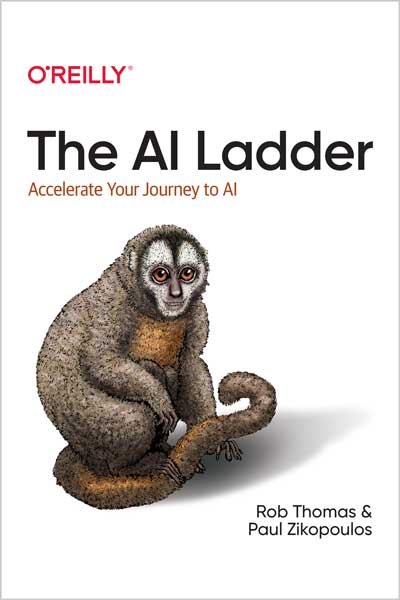The AI Ladder