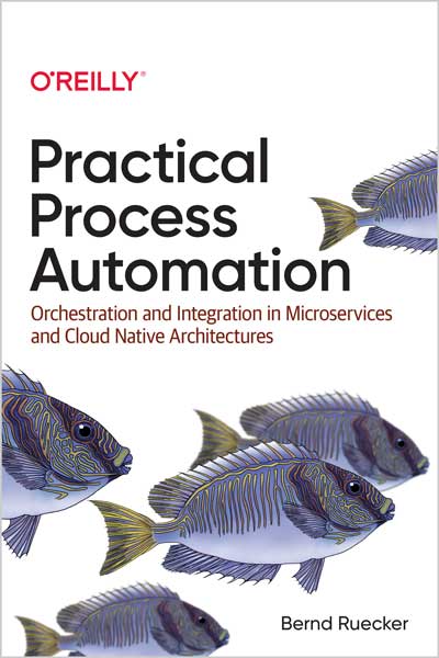 Practical Process Automation