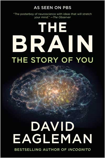 The Brain