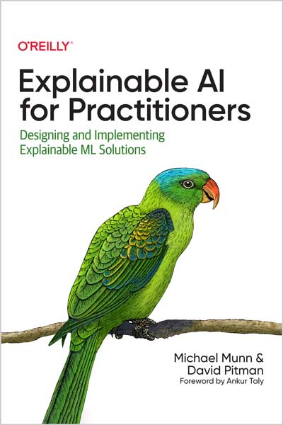 Explainable AI for Practitioners