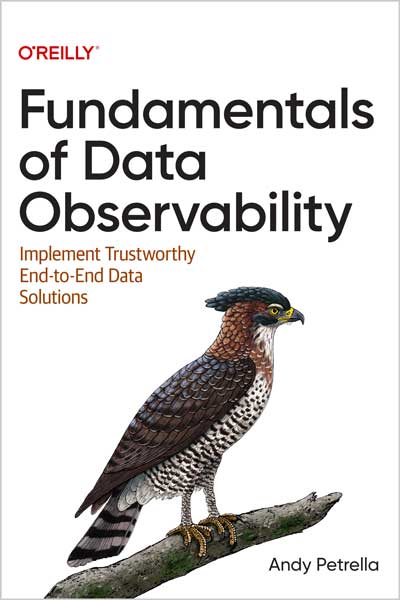 Fundamentals of Data Observability