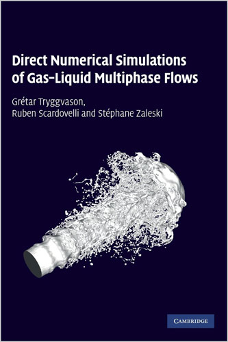 Direct Numerical Simulations of Gas–Liquid Multiphase Flows