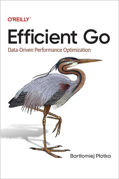 Efficient Go