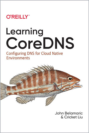 Learning CoreDNS