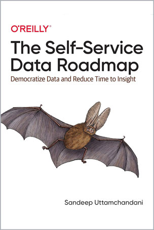 The Self-Service Data Roadmap