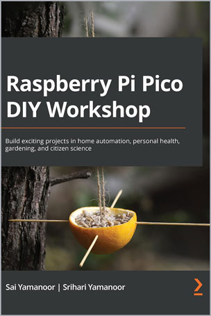 Raspberry Pi Pico DIY Workshop