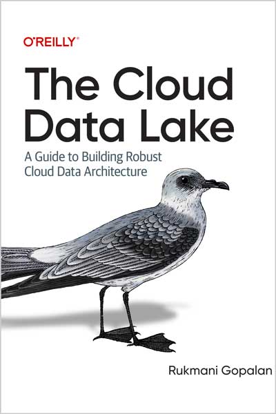 The Cloud Data Lake