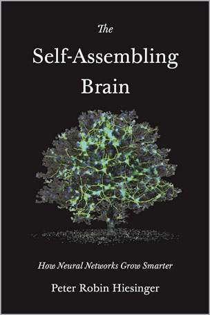 The Self-Assembling Brain