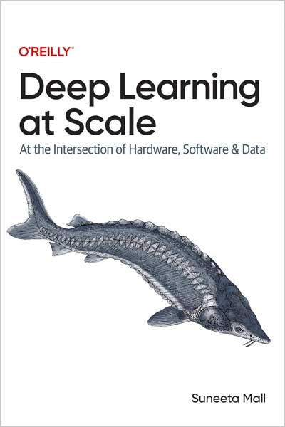 Deep Learning at Scale